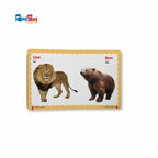 Big Picture Board Book (14 Books) + 8.5 Writing Tab