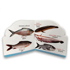 Die Cut Fish