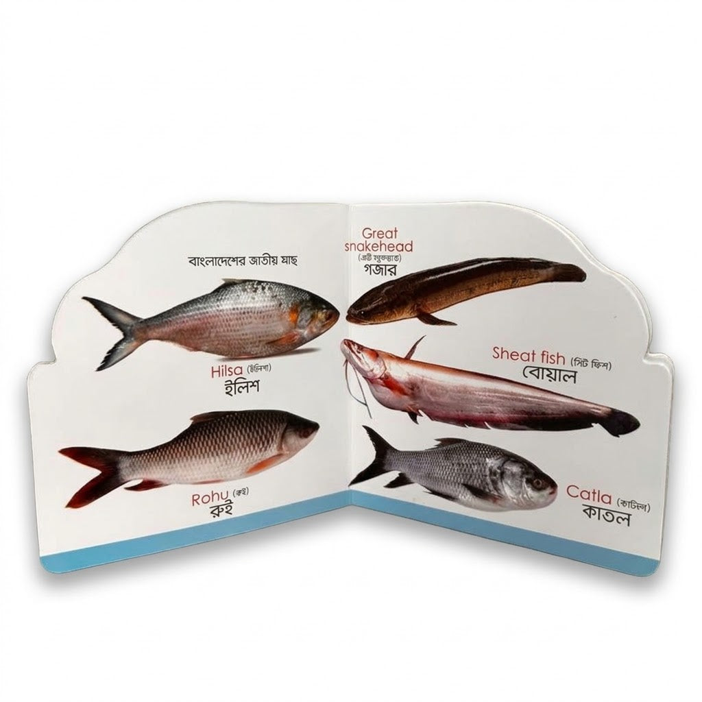 Die Cut Fish