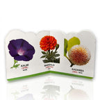 Die Cut Flowers