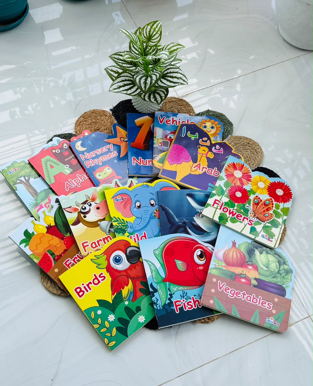 ডাইকাট জ্ঞানবক্স কম্বো