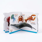 Die Cut Sea Animals