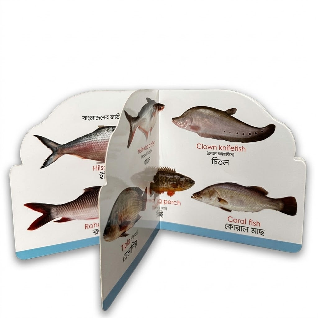 Die Cut Fish