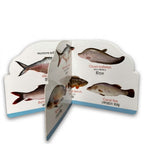 Die Cut Fish