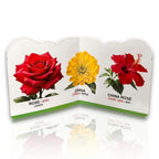 Die Cut Flowers